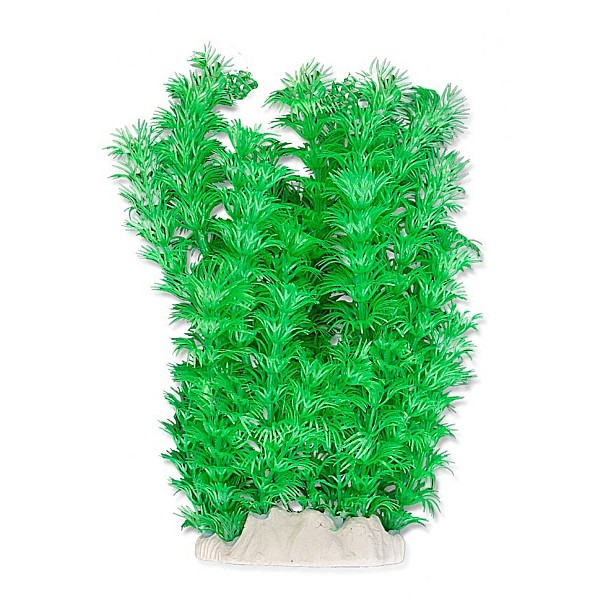 Διακοσμητικό Ενυδρείου Φυτό 20 cm