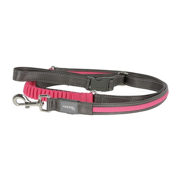 Φωτιζόμενος Οδηγός Σκύλου Jogging Light & Reflex grey / neon pink 250cm 25mm