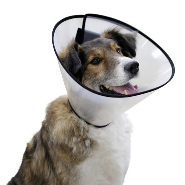 KERBL Χειρουργικό Κολάρο Σκύλου με  Σκρατσ  Λαιμός 22 - 26cm Πλάτος 10 cm