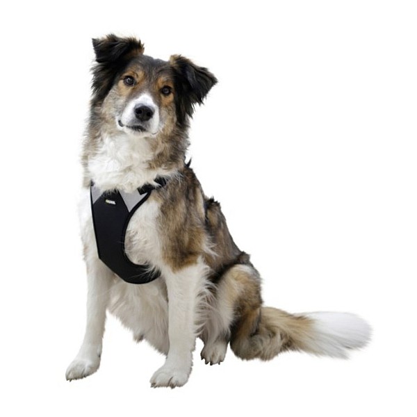 Kerbl Επιστήθιο Σκύλου Pulsive Περ. Λαιμού 36 – 50 cm Περ. Στήθους 46 - 60 cm Μαύρο