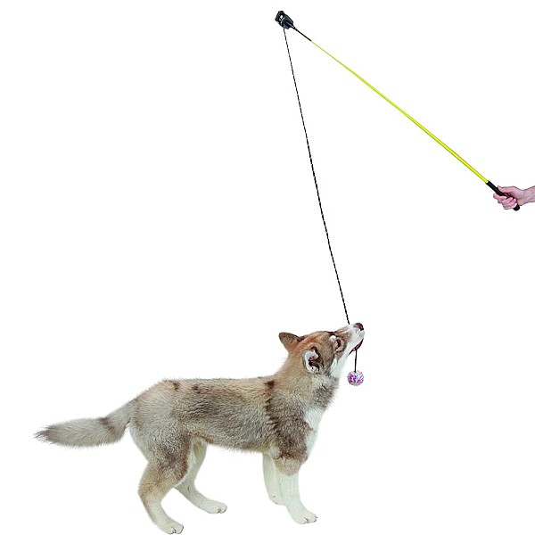 Kerbl Παιχνίδι Σκύλου Ραβδι με Μπαλα 110cm