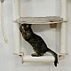 KERBL Επιτοίχιο Ονυχοδρόμιο Γάτας  Dolomit Grappa Pro 70x50x138, taupe