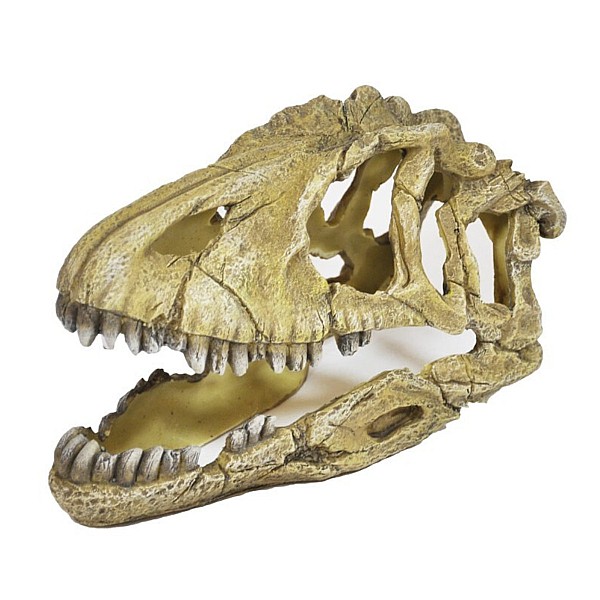Διακοσμητικό Ενυδρείου Κρανίο Δεινοσαύρου Μ22 Π 8 Υ14cm 