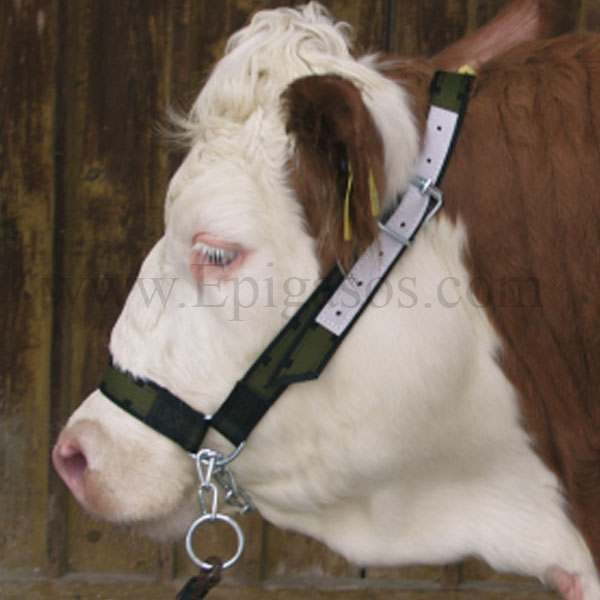 KERBL Cow Halter with Chin Chain