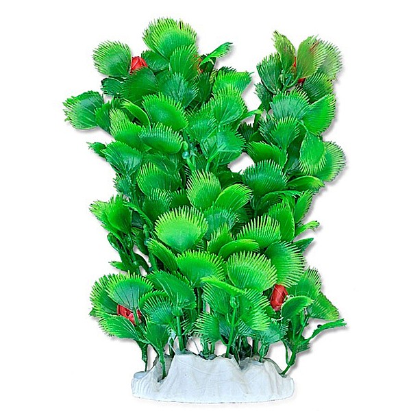 Διακοσμητικό Ενυδρείου Φυτό 20 cm