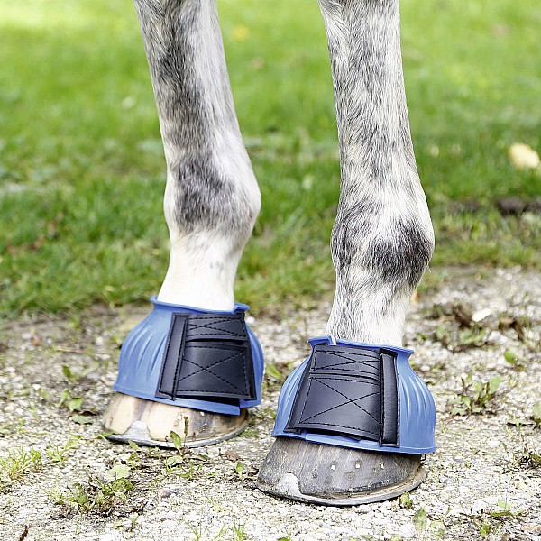Καμπάνες Αλόγου midblue Cob