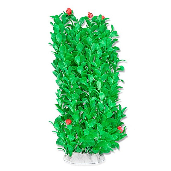 Φυτό Ενυδρείου 40cm Πράσινο με λεπτομέρειες