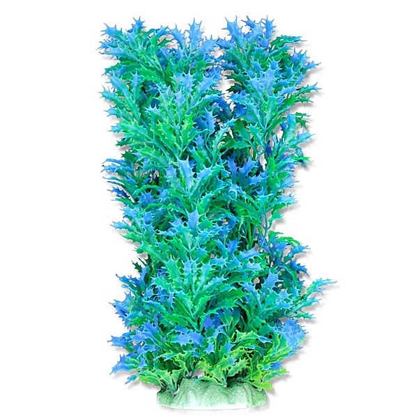 Φυτό Ενυδρείου 40cm Θαλασσί