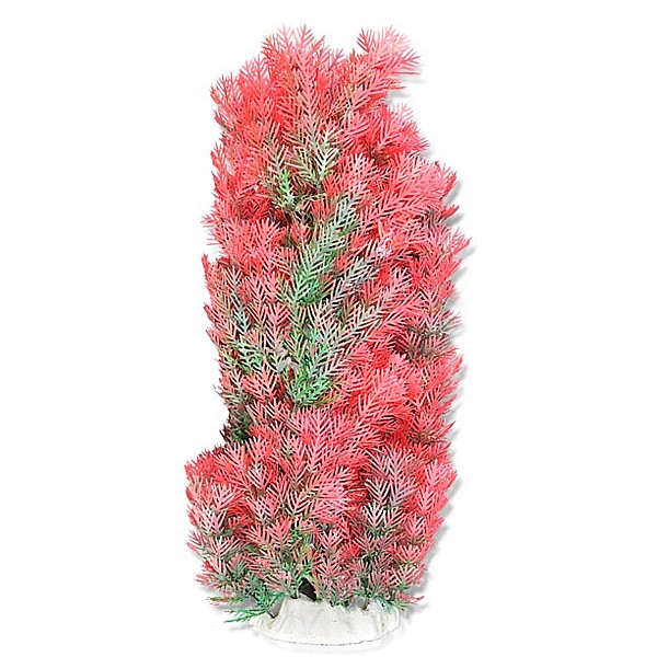 Φυτό Ενυδρείου 40cm Ροζ Πράσινο