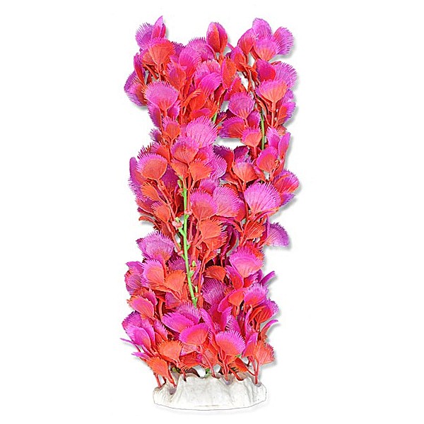 Φυτό Ενυδρείου 40cm Ροζ