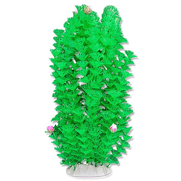 Φυτό Ενυδρείου 40cm Πράσινο