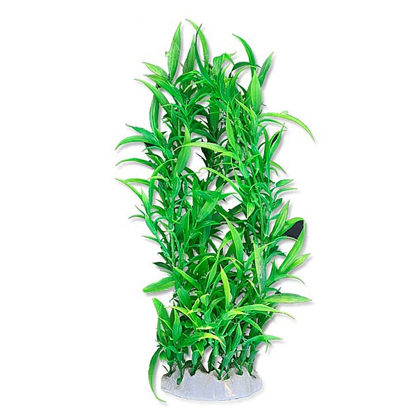 Φυτό Ενυδρείου 40cm Σκούρο Πράσινο