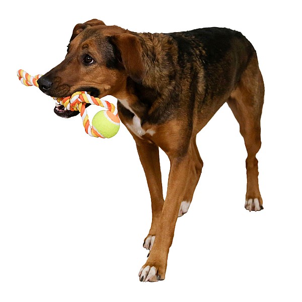 KERBL Παιχνίδι Σκύλου Μπάλα Σε Σχοινι 37cm