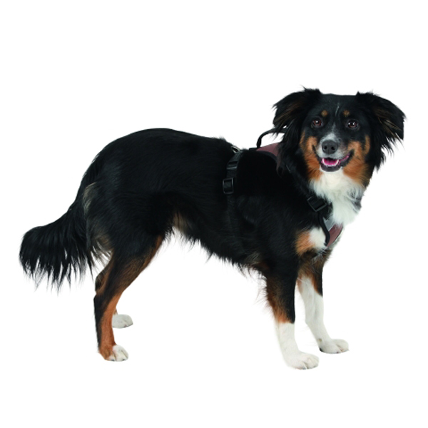 KERBL Επιστήθιο Σκύλου Pulsive Περ. Λαιμού 36 – 50 cm Περ. Στήθους 46 - 60 cm Μαύρο / Καφέ