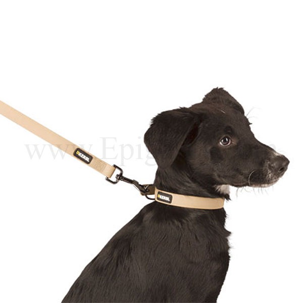 Αδιάβροχο Περιλαίμιο Σκύλου Easy Care 25-35 cm 20mm