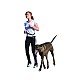 KERBL Λουρί Σκύλου Για Τρέξιμο Με ζώνη Μέσης