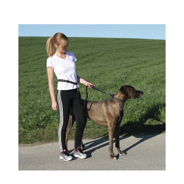 KERBL Λουρί Σκύλου Για Τρέξιμο Με ζώνη Μέσης