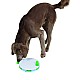 Kerbl Εκπαιδευτικό παιχνίδι Σκύλου Swing Ø 27 cm Ύψος 3,5 cm