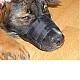 Φίμωτρο Σκύλου Από Νάιλον Περ. Μουσούδας 17 έως 22 εκ. Βάθος 7,5 εκ.