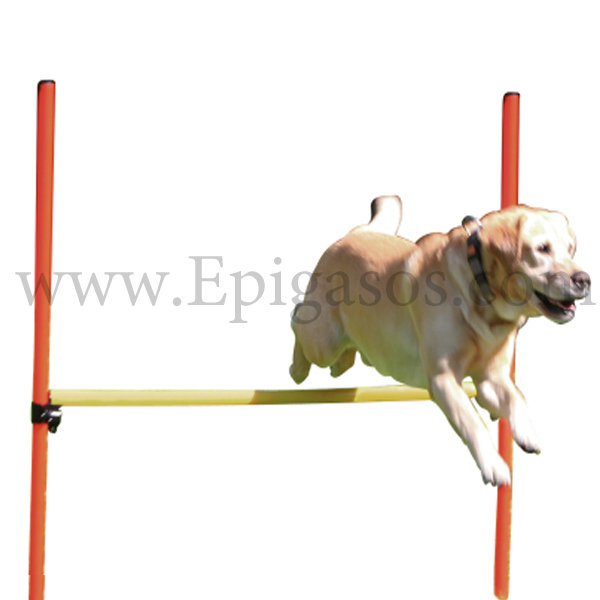 Εμπόδιο Εκπαίδευσης - Γυμναστικής Σκύλου Ραβδί Pogo Πλάτος 128 εκ. Ύψος 100 εκ.