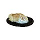Κρεβάτι Σκύλου / Γάτας Cosy Bed Μήκος 54 εκ. Πλάτος 45 εκ. Χρώμα Καφέ