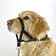 Φίμωτρο Σκύλου Εκπαίδευσης Και Κατάρτισης Μaxi Περίμετρος Μουσούδας < 34 εκ.