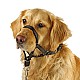 Φίμωτρο Σκύλου Εκπαίδευσης Και Κατάρτισης Μaxi Περίμετρος Μουσούδας < 34 εκ.