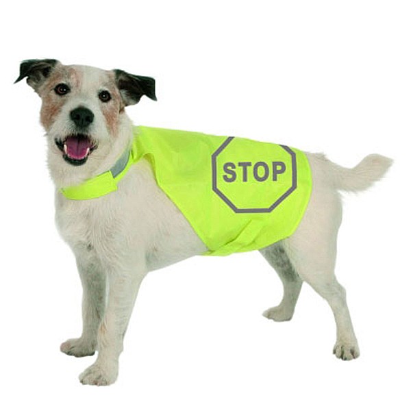 Γιλέκο Ασφαλείας Σκύλου Maxi Safe Μήκος Πλάτης 35 εκ. Κοιλιακή Περίμετρο 50 έως 58 εκ.