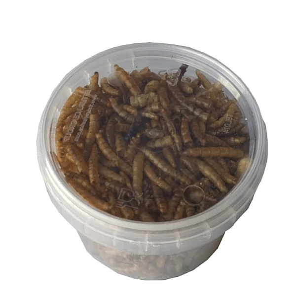 Epigasos Αποξηραμένα Aλευροσκούληκα Mealworm 100ml/20gr