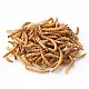 Αποξηραμένα Aλευροσκούληκα Mealworm 1000ml/160gr