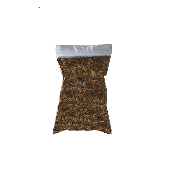 Αποξηραμένα Aλευροσκούληκα Mealworm Σακουλάκι 100γρ