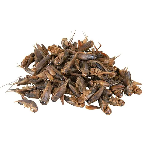 Αποξηραμένοι Γρύλοι 1000ml/170gr