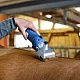 KERBL Κουρευτική Μηχανή Αλόγων Μπαταρίας  Farm Clipper2 Δόντια 31/15