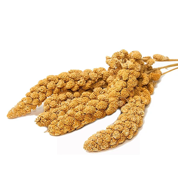Τσαμπιά Περλαμόντα Millet (Χαρά των πουλιών) 1κιλό