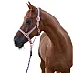 KERBL  Καπίστρι Cora grey / rosé / white Cob