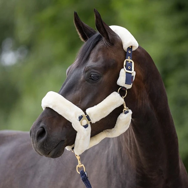 Kerbl Καπίστρι SuperSoft navy Pony  No1