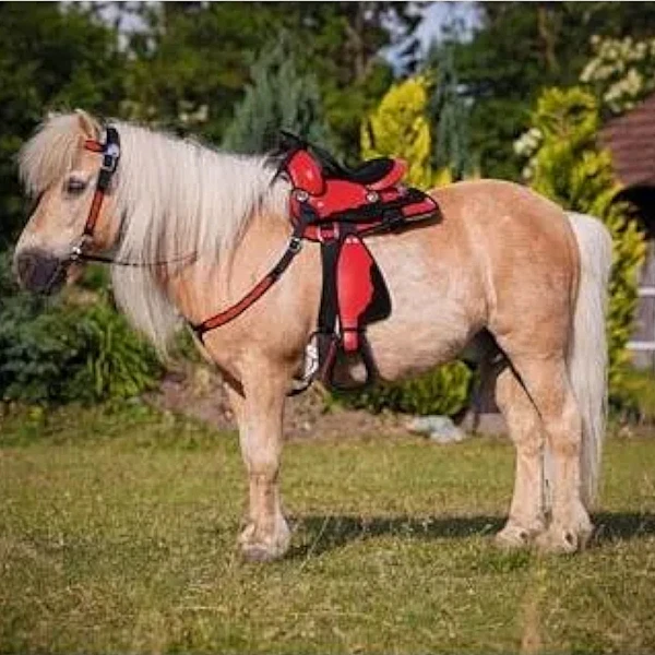 Οικονομικό Σετ Western Σέλα Pony Μαύρη / Κόκκινη