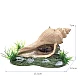 Διακοσμητικό Ενυδρείου Κοχύλι 18*8.5*8.5cm