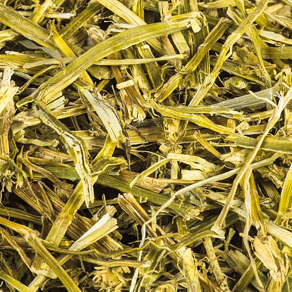 Epigasos Χόρτα για Τρωκτικά 100% Alfalfa 500gr