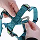 Επιστήθιο ασφαλείας Panic Harness Miami petrol στήθος 64-100cm π25mm