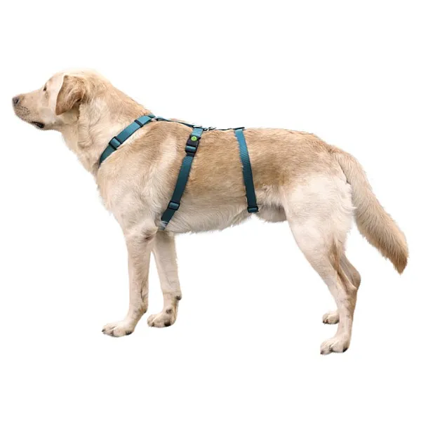 Επιστήθιο ασφαλείας Panic Harness Miami petrol στήθος 64-100cm π25mm