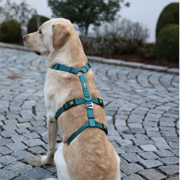 Επιστήθιο ασφαλείας Panic Harness Miami petrol στήθος 64-100cm π25mm
