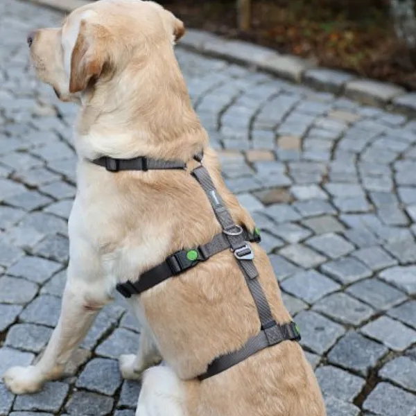 Επιστήθιο ασφαλείας Panic Harness Miami Γκρί στήθος 38-52cm π15mm
