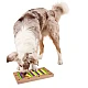 Kerbl Διαδραστικό Παιχνίδι Σκύλου Easy, 28.5 x 15 x 2.7 cm