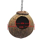 Φωλιά Καρύδα  13-15cm Τρύπα 6.5cm Και Σκάλα