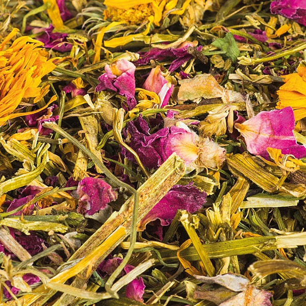 Epigasos Χόρτα για Τρωκτικά Wild Flower Field 500gr με Alfalfa, Καλέντουλα, Χαμομήλι ,Τριαντάφυλλα , Μαϊντανό 