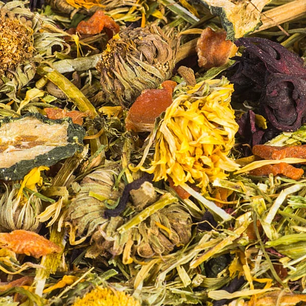 Epigasos Χόρτα για Τρωκτικά Colorful Autumn Mix 500gr