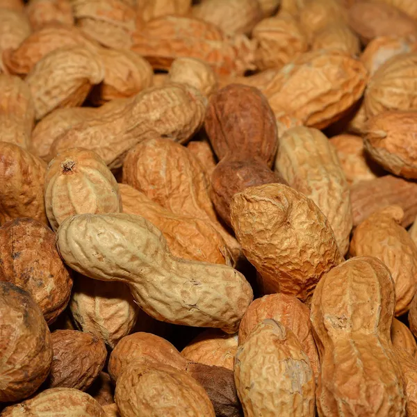 Φυστίκι Για Παπαγάλους 220gr