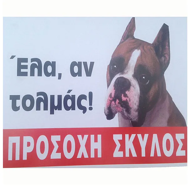 Πινακίδα PIT BULL Μεταλλική Έγχρωμη 30 x 20 cm