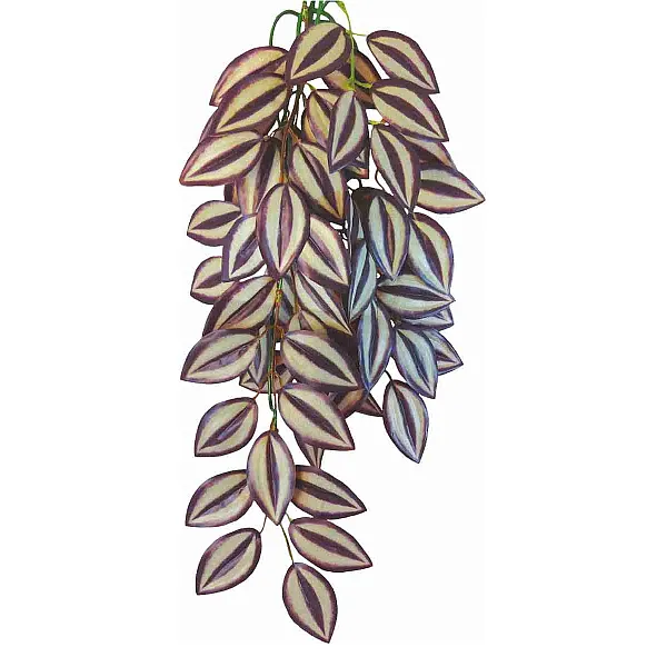 Φυτό Για Terrarium Tradescantia Zebrina 70CM